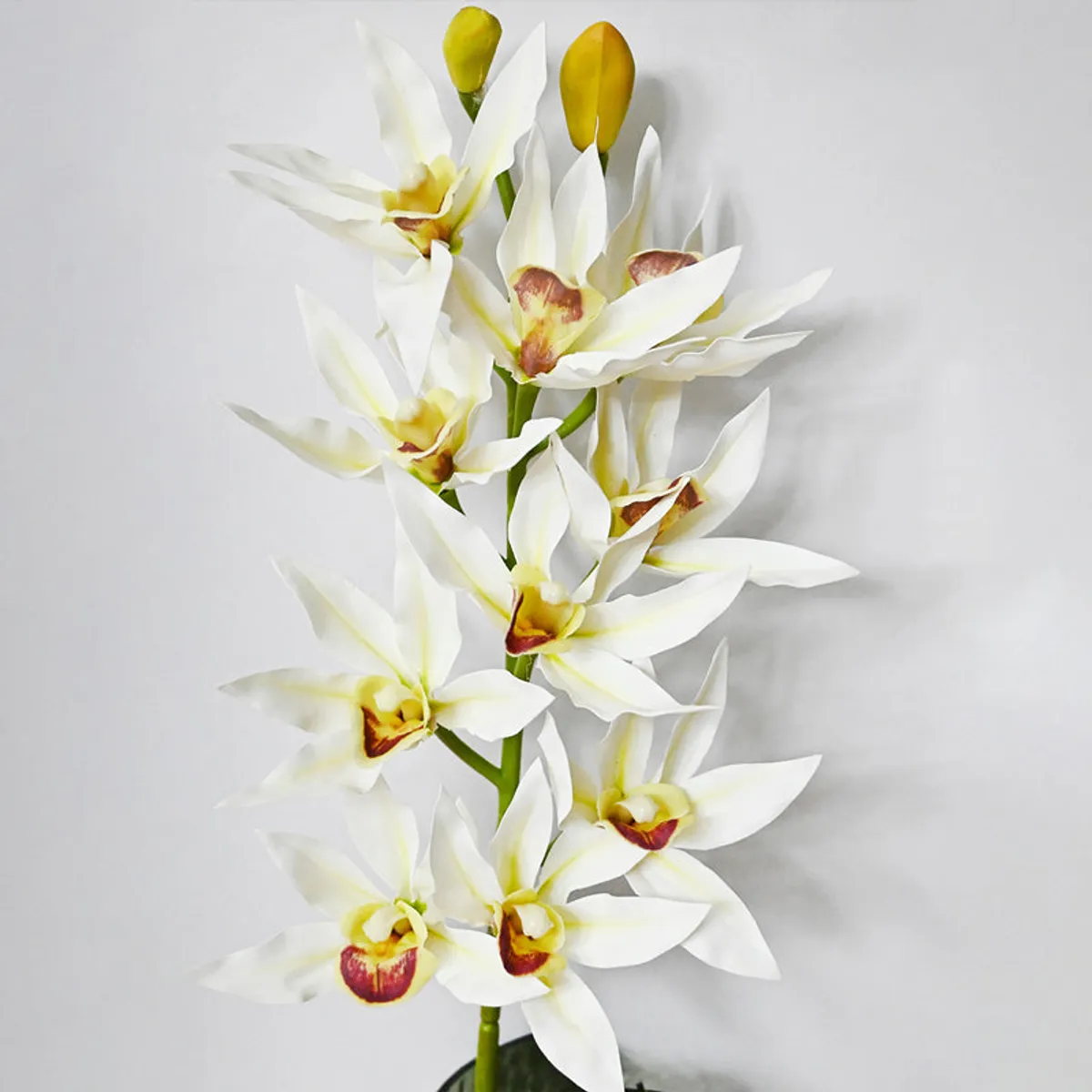 Close-up of white artificial orchid blooms with yellow and burgundy centres