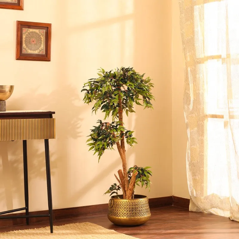 Artificial Green Ficus Bonsai Plant With Black Plastic Pot - 4 ft media 5
