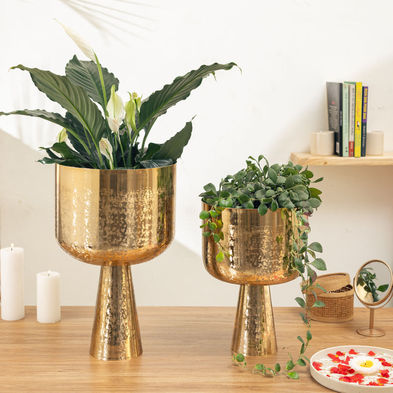 Textura Aureme Planter - Set Of Two media 2