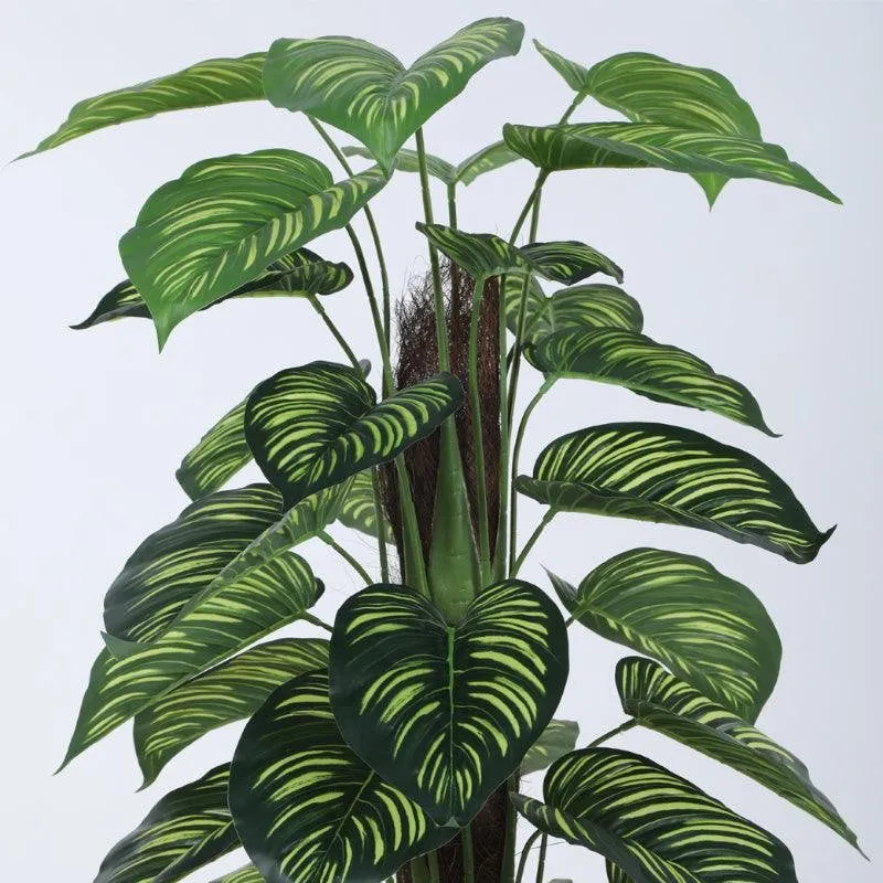 Faux Pola Calatheas Plant With Black Plastic Pot - 2.95 ft media 5