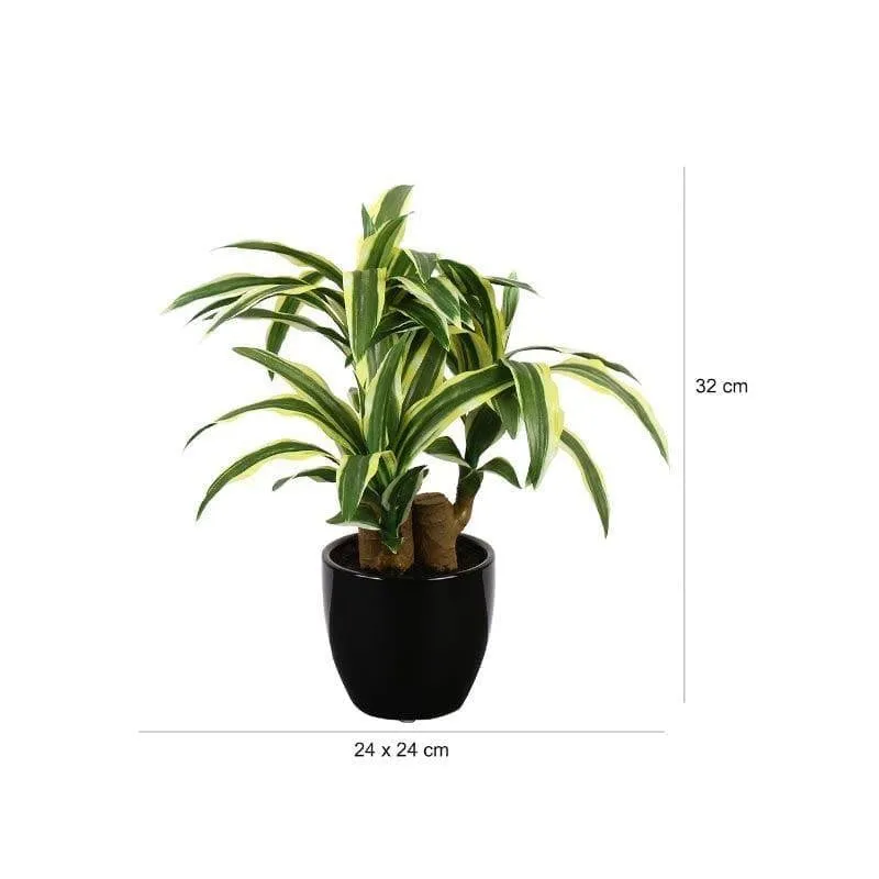 Faux Dracaena Bonsai (35 cms) - Yellow & Green media 4