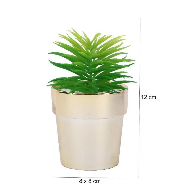 Faux Haworthia In Ceramic Pot - 14 cms media 4