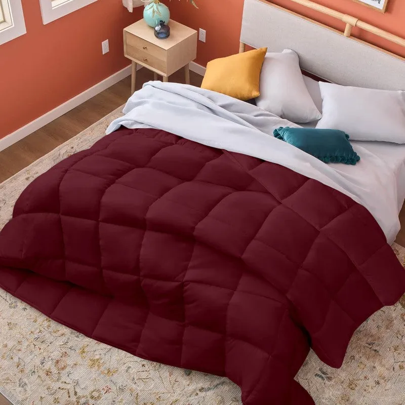 Aubriel Solid Comforter (Maroon) 300 GSM media 3