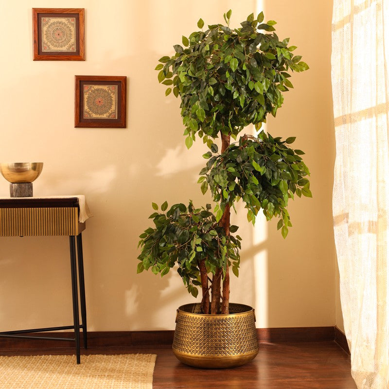 5.5 ft Artificial Green Ficus Bonsai With Black Plastic Pot - 5.5 Feet