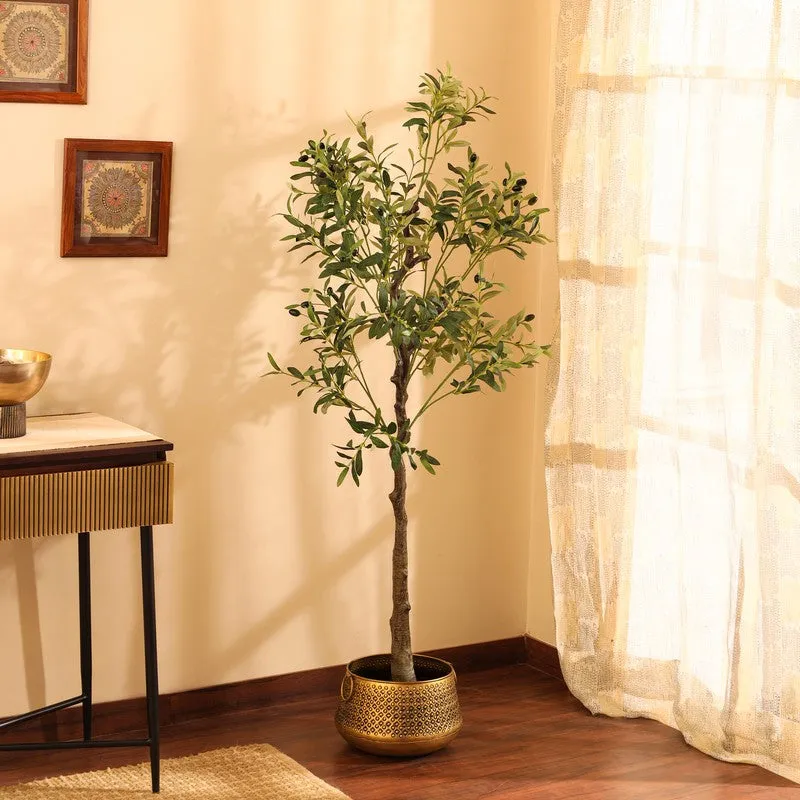 Artificial Olive Plant With Black Plastic Pot - 5 ft media 4