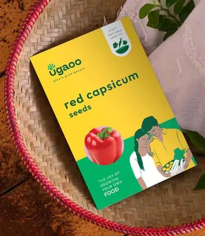 Seeds