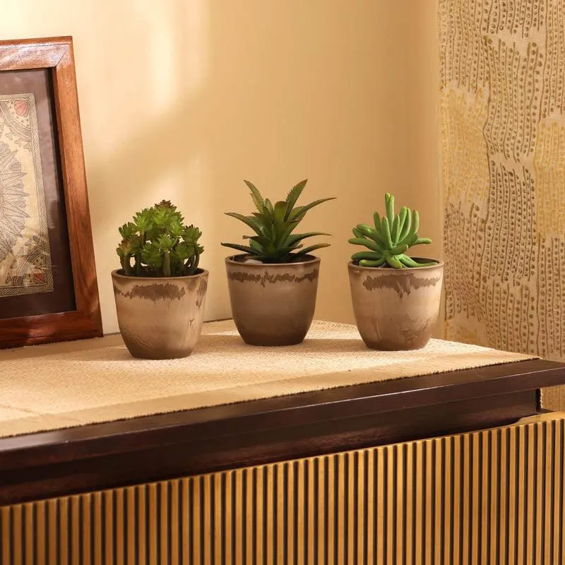 Artificial Mini Succulent With Pot - Set Of Three media 1