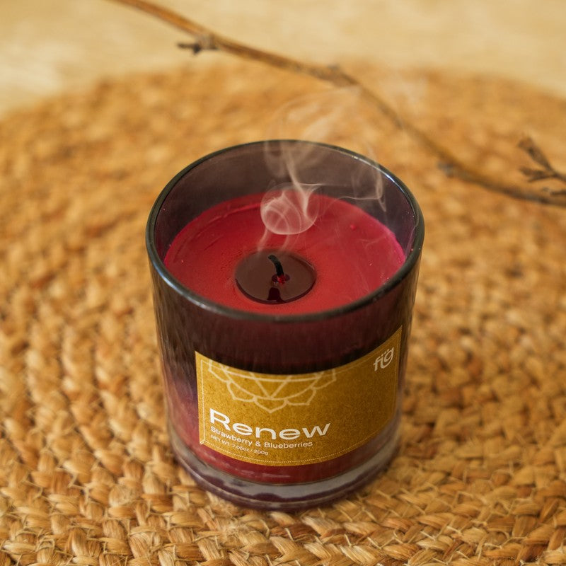 Fig Living Renew Berries Palm Wax Scented Candle media 6