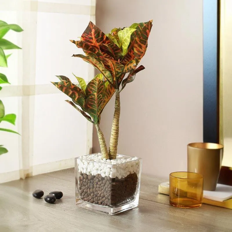 Faux Tall Croton Bonsai In Glass Pot - 38 cms media 1