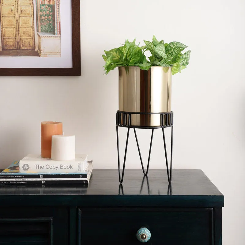 Zenva Stainless Steel Planter - Gold & Black media 2