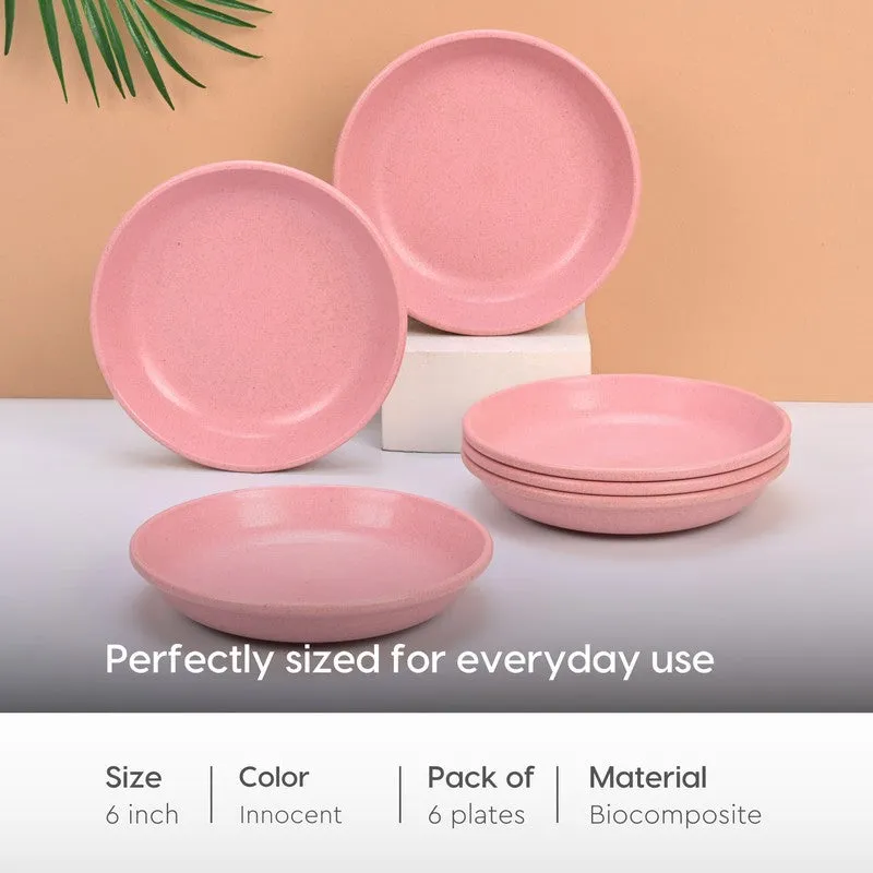 Canyonbloom Quarter Plate - Set Of Six media 6