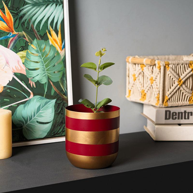 Scarlet Aura Aluminium Planter media 5