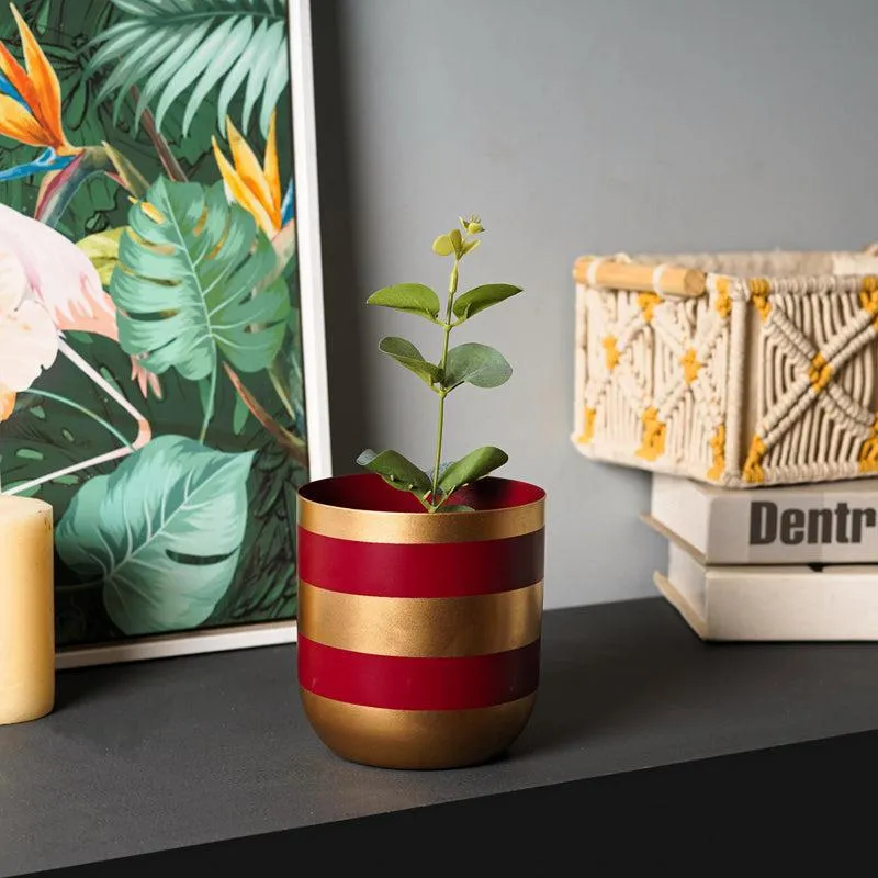 Scarlet Aura Aluminium Planter media 5