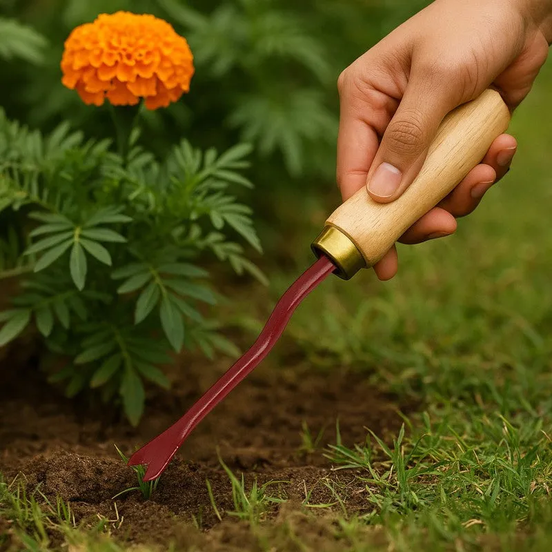 Hand Weeder Iron Tool media 1