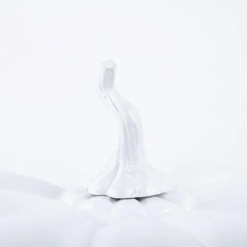 Pumpkin Plum Showpiece media 4