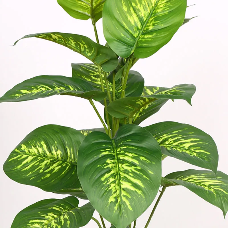 Differa Artificial Dieffenbachia Plant With Black Plastic Pot (2 Feet)  - Yellow, Green media 4