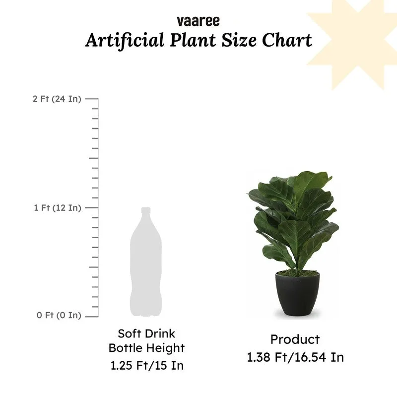 Leafique Artificial Fiddle Leaf Plant With Black Fiber Pot - 1.4 Feet media 8
