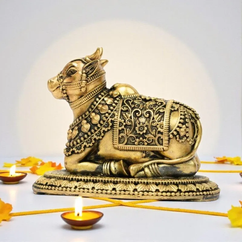 Dev Roop Nandi Idol media 7
