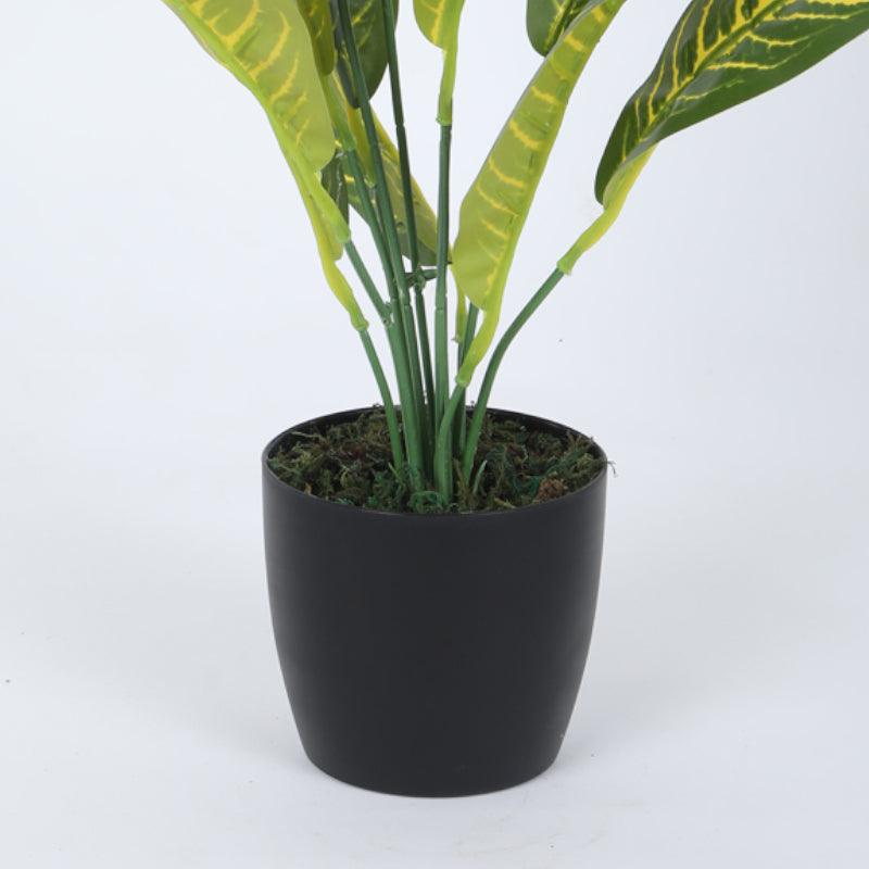 Faux Yellow Croton Plant With Black Plastic Pot (50 cms) - Set Of Two media 4