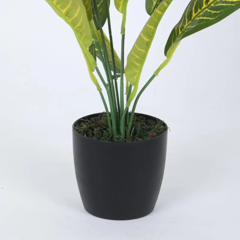 Faux Yellow Croton Plant With Black Plastic Pot (50 cms) - Set Of Two media 4