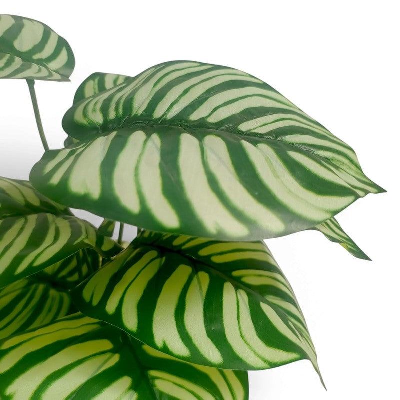 TerraLeaf Artificial Plant - 1.5 Feet media 4