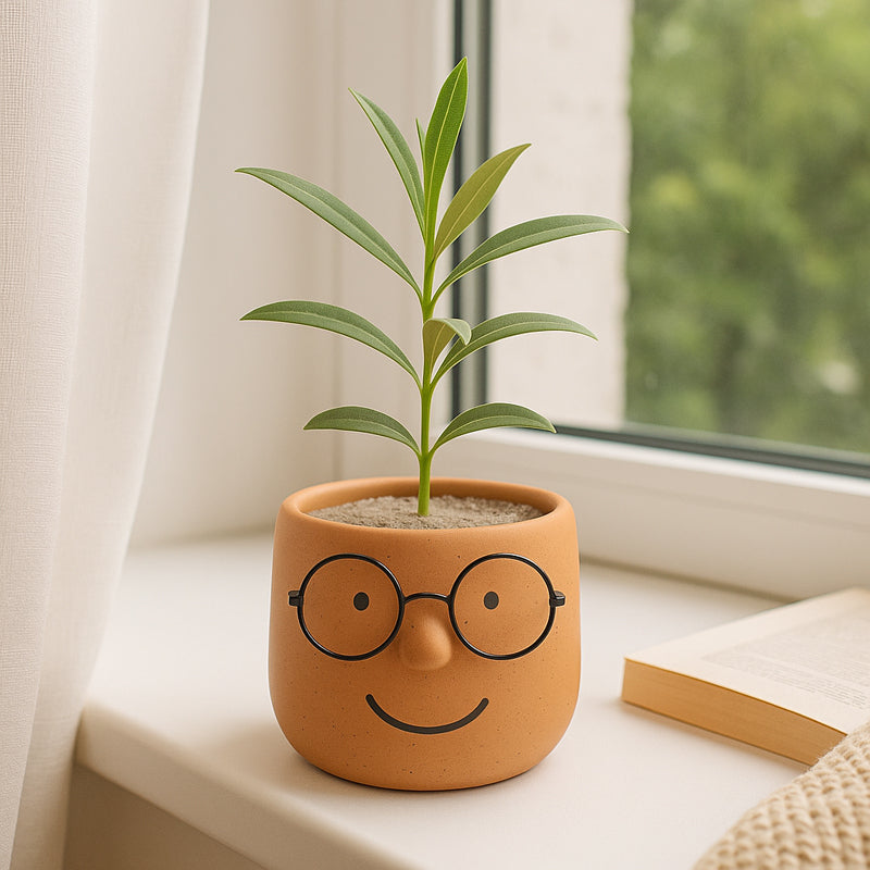 Plantie Pals Ceramic Planter - Orange media 3