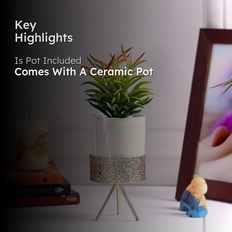 Faux Red Senecio In Ceramic Pot With Tripod - 24.5 cms media 2