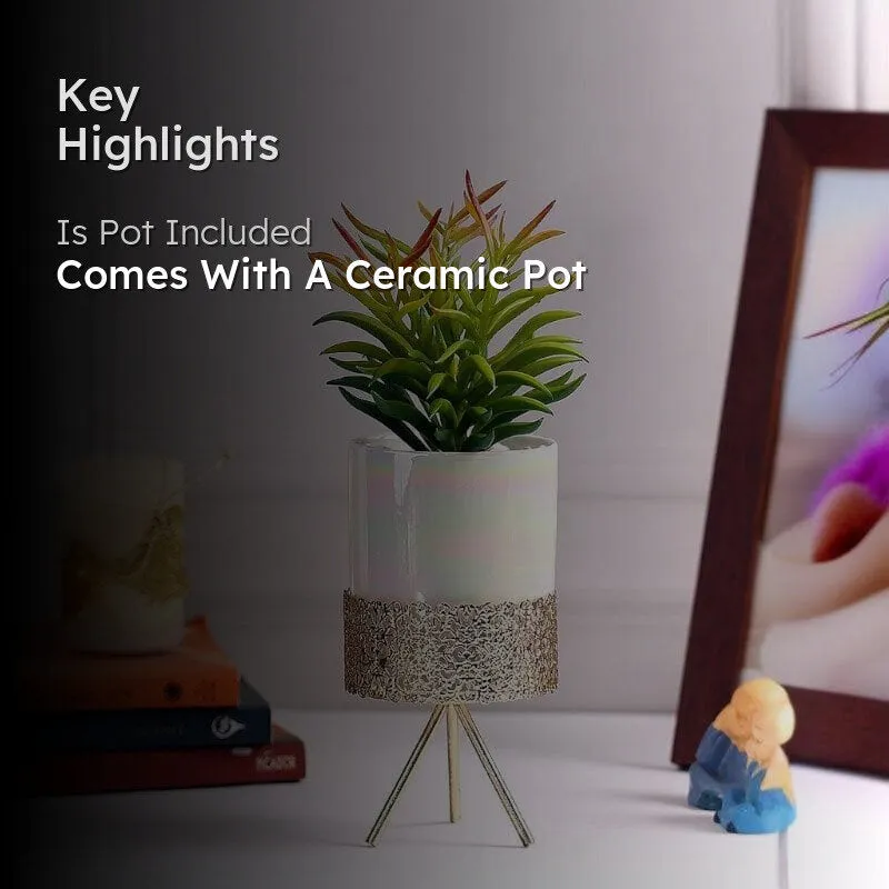 Faux Red Senecio In Ceramic Pot With Tripod - 24.5 cms media 2