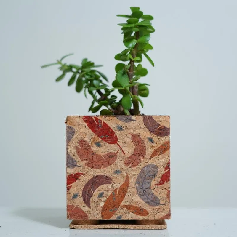Corky Zen Planter media 4