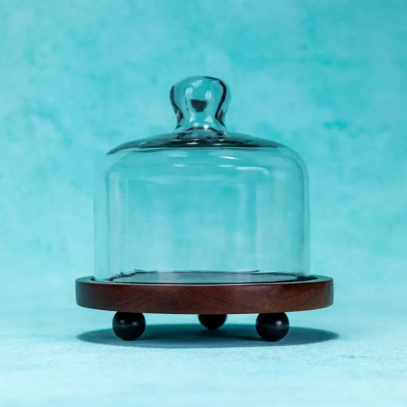 Bristo Cake Stand With Dome media 5