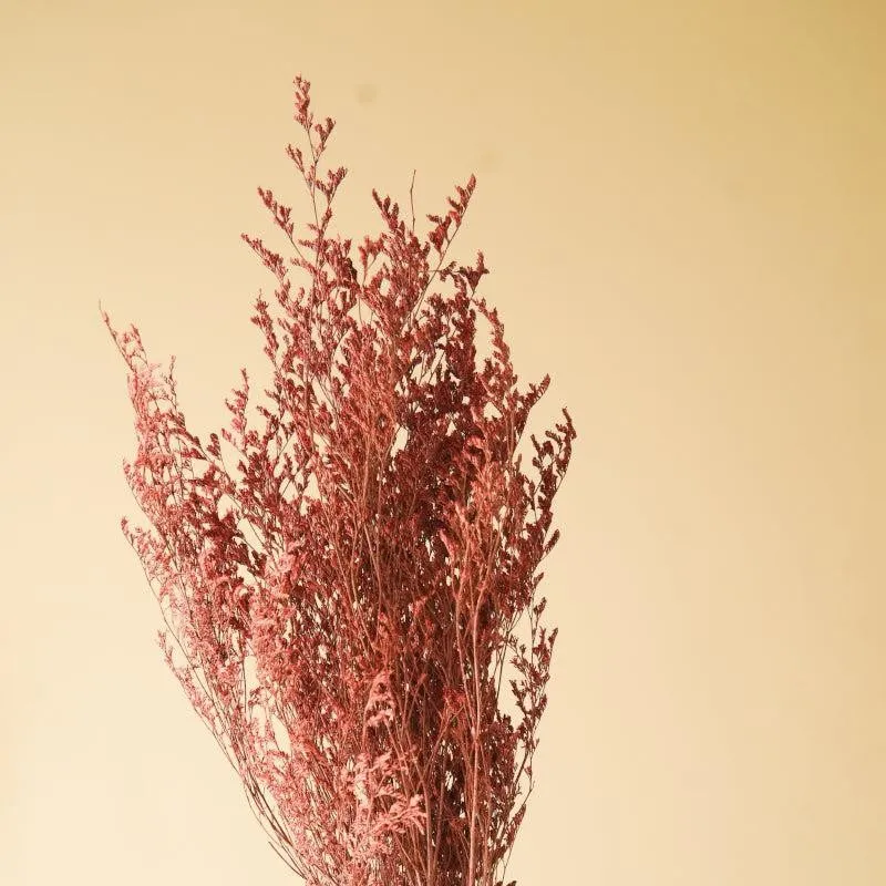 Dried Limonium Millet Grass Flower Bunch - Set Of Three media 3