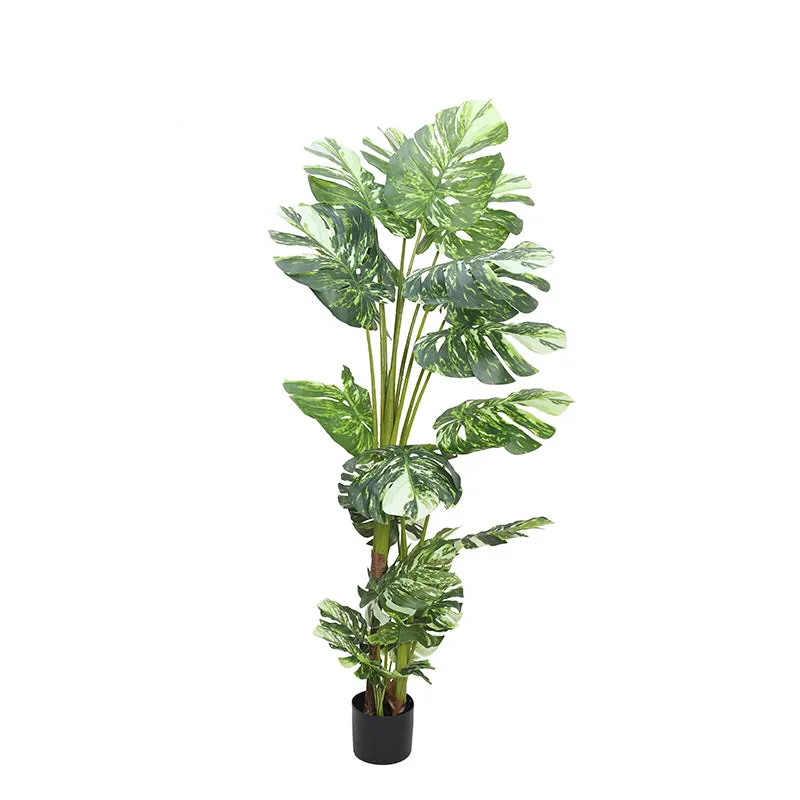 Greenius Artificial Monstera With Black Plastic Pot - 5.6 Feet media 5