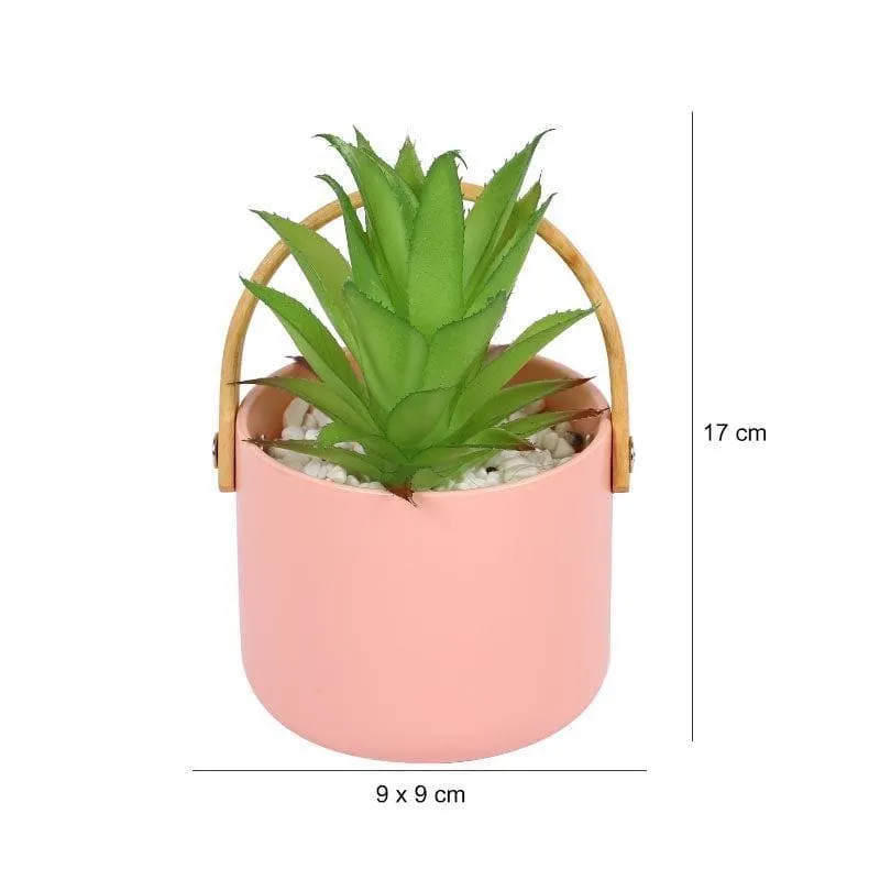 Faux Succulent In Bucket Pot (16.5 cms) - Pink media 5