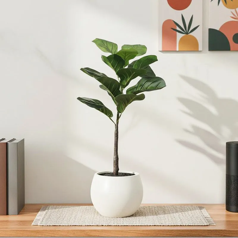 Faux Fiddle Fig Plant Tree With Black Plastic Pot - 2.5 Feet media 1