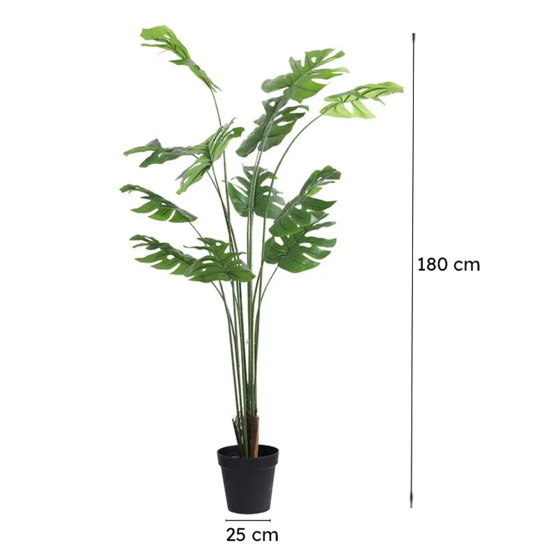 Artificial Monstera Plant With Black Plastic Pot - 6 ft media 10