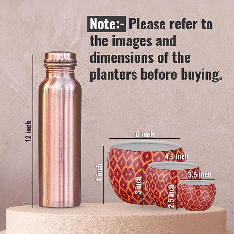 Three maroon patterned planters shown beside a bottle for scale