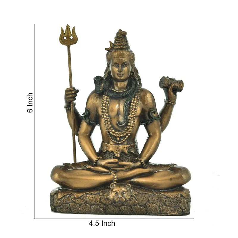 Shiva Bronzwe Idol media 5