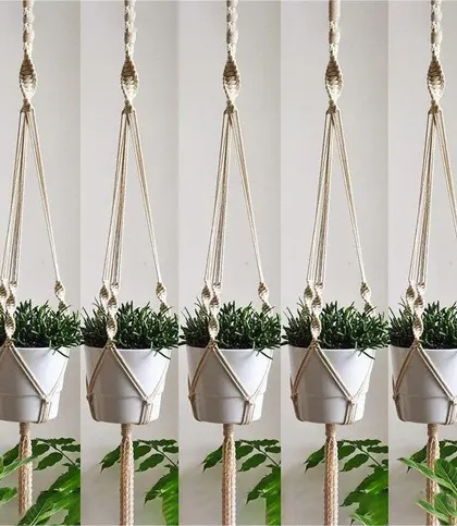 Cotton