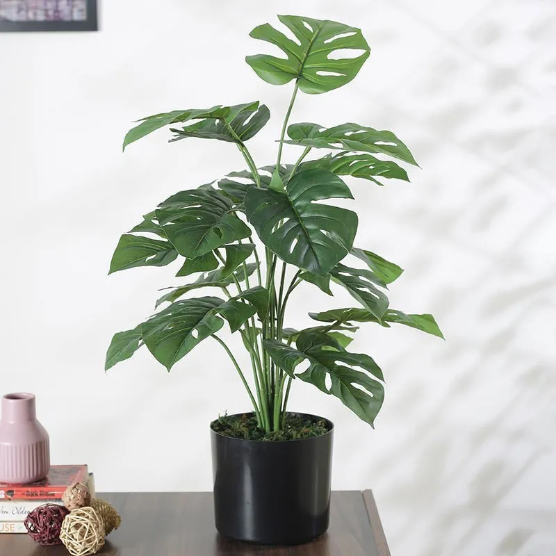 NatureScape Artificial Leaf Plant With Black Fiber Pot - 2 Feet media 3