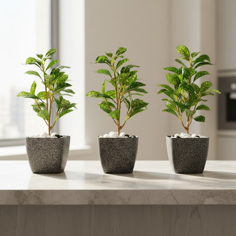 Monvia Garden Planter - Set Of Three media 2