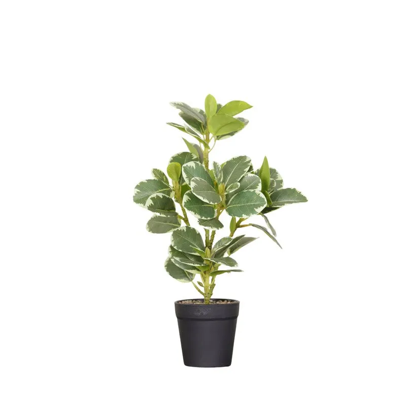Artificial White Quercus Leaf Big Plant With Black Fiber Pot - 1.3 Feet media 4
