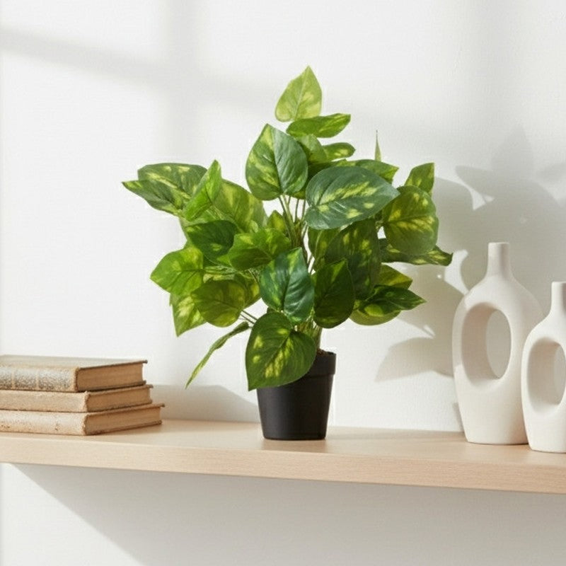 Artificial Pothos Plant With Black Fiber Pot (Green, Yellow) - 1 Feet media 5