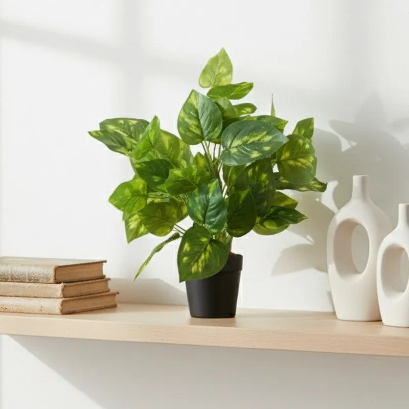 Artificial Pothos Plant With Black Fiber Pot (Green, Yellow) - 1 Feet media 5