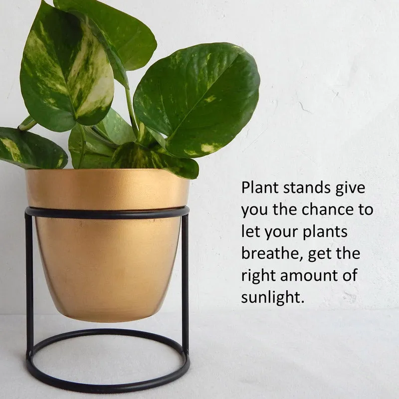 Zutoia Black Planter - White media 5