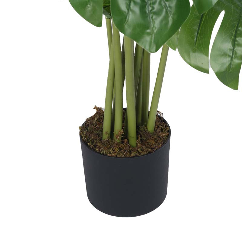 Faux Lush Swiss Cheese Monstera Plant With Black Plastic Pot - 4 Feet media 5