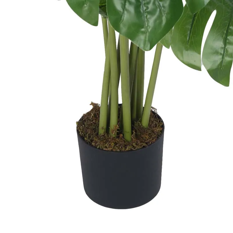Faux Lush Swiss Cheese Monstera Plant With Black Plastic Pot - 4 Feet media 5