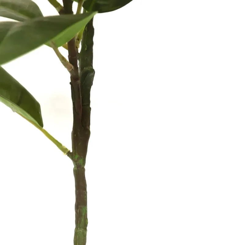 Leafessa Artificial Fiddle Fig Plant With Black Plastic Pot - 3.1 Feet media 7