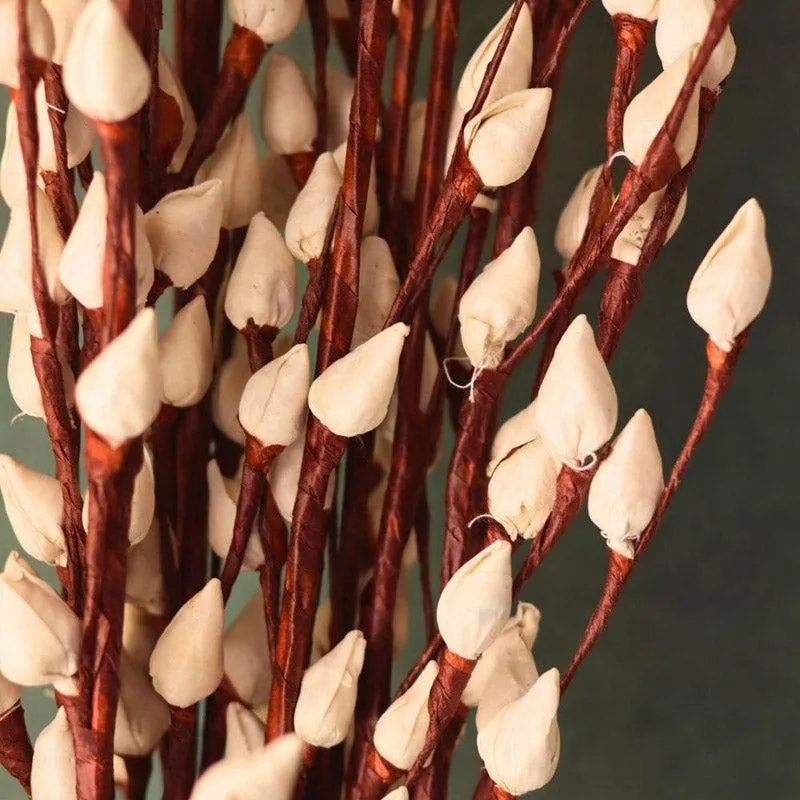 Nira Baby Gypsophila Lotus Sticks - Set Of Five media 4