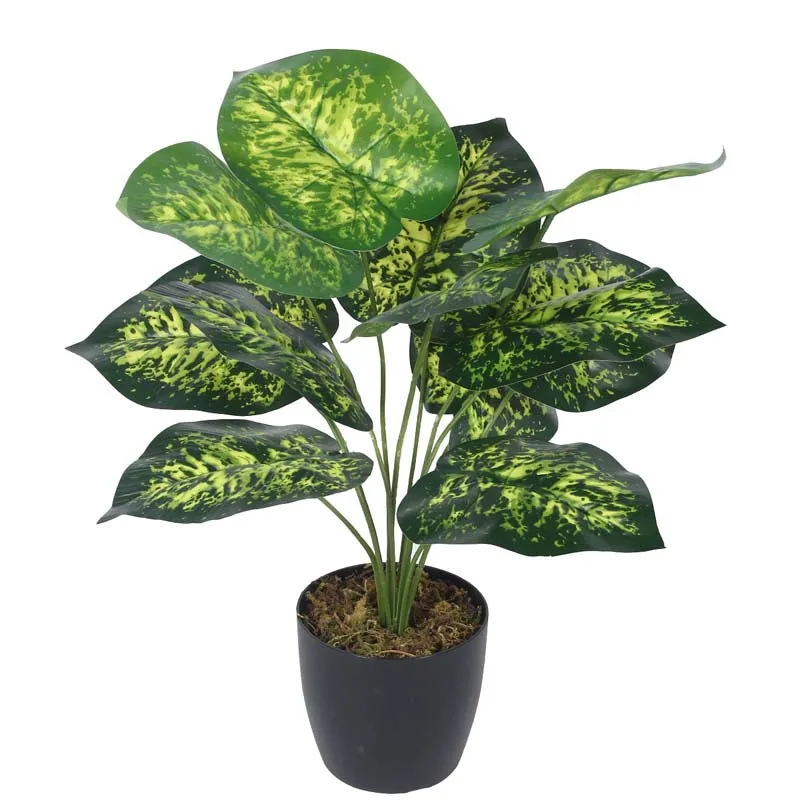 Faux Lush Dieffenbachia Plant With Black Plastic Pot - 1.8 Feet media 3