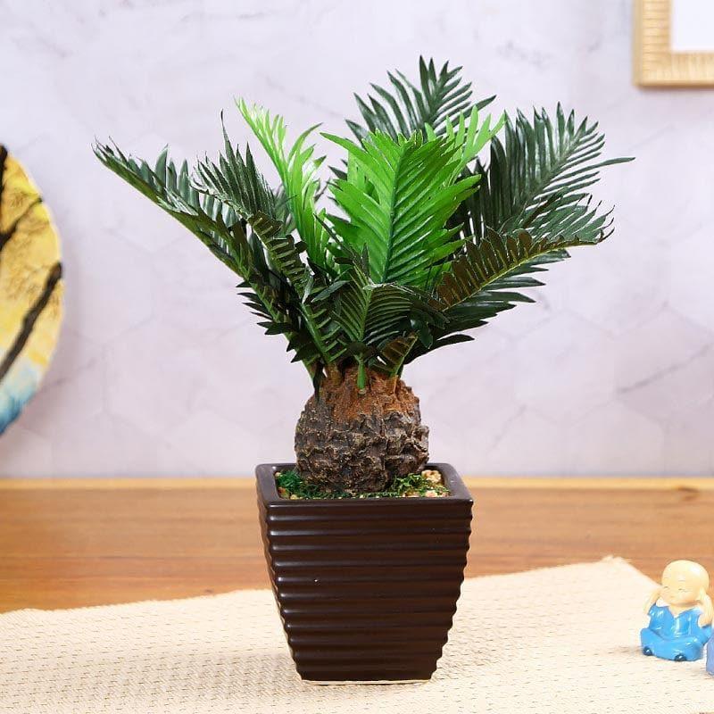 Faux Cycas Bonsai In Ceramic Pot - 33 cms
